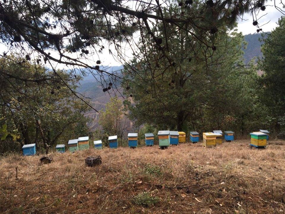 513086121_30079326378349213_2484395336241201697_n