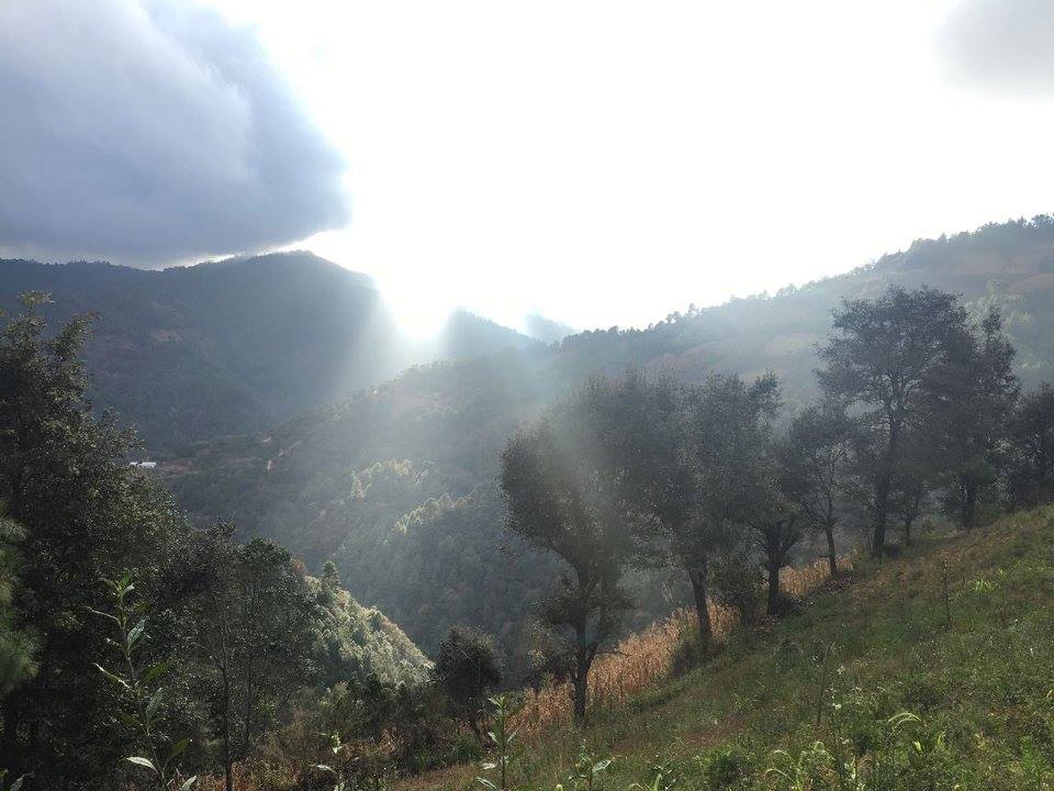 513844340_30079326145015903_6229431495094797412_n