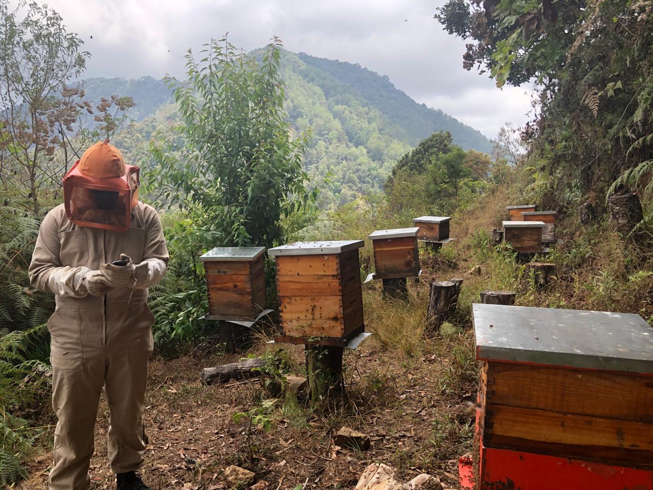 Imagen de WhatsApp 2025-10-08 a las 13.11.56_280dcd13