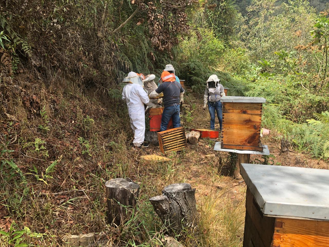 Imagen de WhatsApp 2025-10-08 a las 13.11.57_199e1855