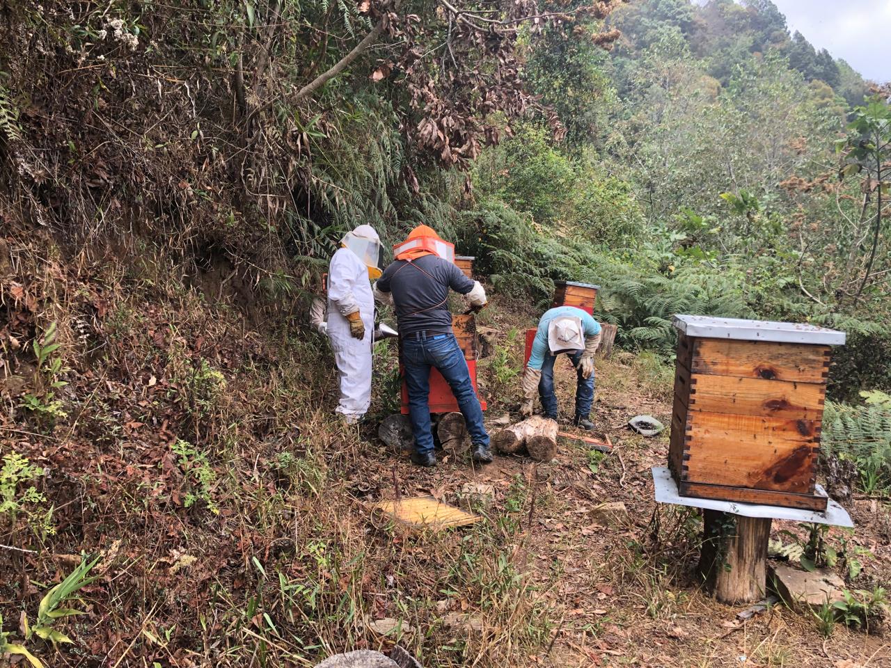 Imagen de WhatsApp 2025-10-08 a las 13.11.57_e6dd3f8a